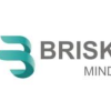 Brisk Mind-logo