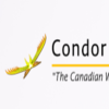 Condor POS Solutions