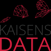 Kaisens Data