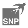 SNP Schneider-Neureither & Partner SE