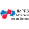 Upcoming PhD positions at the IMPRS for Molecular Organ Biology in Autumn 2023