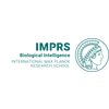 Fully Funded PhD Positions at International Max Planck Research School – Biological Intelligence