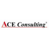 ACE consulting GmbH