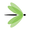 Sr. Network Engineer