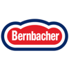 Ausbildung Industriekaufmann (m / w / d)