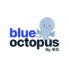 BLUE OCTOPUS RECRUITMENT LTD
