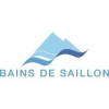 Bains de Saillon SA-logo