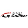 Emil Galliker Holding AG-logo