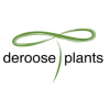 Deroose Plants, Inc.