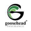 Goosehead Coe Agency