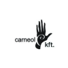 Carneol Kft.