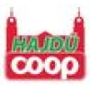 HAJDÚ-COOP Zrt.