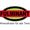 Fulminant GmbH