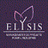 ELYSIS CONSULTING