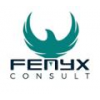 FENYX Consult