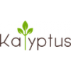 Kalyptus
