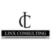 Linx Consulting-logo