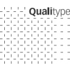 qualitype GmbH