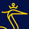 Lecturer Practitioner in Education