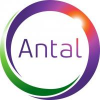 Antal International-logo