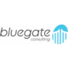 BlueGate Consulting Ltd