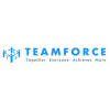 Teamforce Labour Ltd