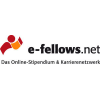 e-fellows.net GmbH & Co. KG