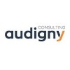 Audigny Consulting