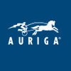 Auriga Inc