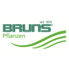 BrunsPflanzenExport GmbH und Co KG