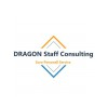 DRAGON Staff Consulting UG