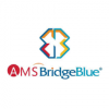 AMS Bridge Blue