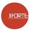 Ion Forte Limited