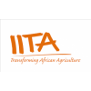 The International Institute Of Tropical Agriculture (IITA)
