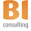 BI consulting