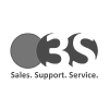 3S Sales Support Service