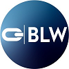 Blue Link Wireless-logo