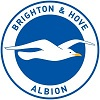 Brighton & Hove Albion Football Club-logo