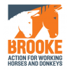 Brooke United Kingdom Jobs Expertini