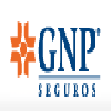 GNP Seguros Corporativo