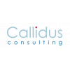 Callidus Consulting