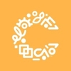 Sr. IT Project Manager