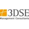 3DSE Management Consultant GmbH