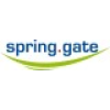 spring.gate business consulting UG