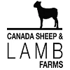 Canada Sheep and Lamb Farms-logo