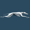 Greyhound