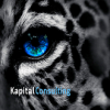 Automation specialist