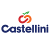 Castellini