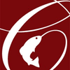 Catch Engineering-logo