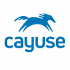 Cayuse